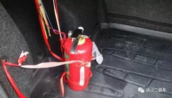 這4種違章不再扣分但是直接罰款,車主拍手稱贊,早該這么做了