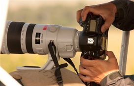 1周影像頭條 疑似5d3機身照 奧巴om