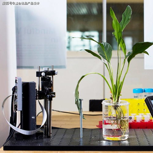 仿生植物融合納米傳感器 實(shí)時(shí)監(jiān)測(cè)水中雜質(zhì)與毒素的創(chuàng)新設(shè)計(jì)