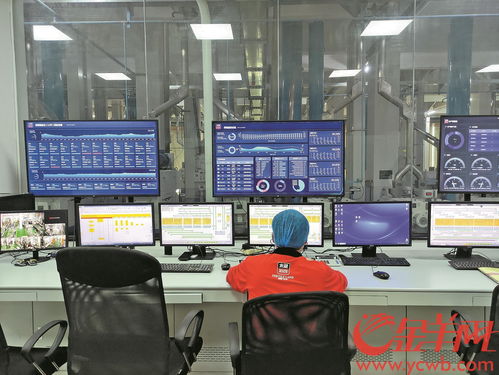 東莞數(shù)字經(jīng)濟賦能傳統(tǒng)制造 150秒完成大米樣品快速檢測