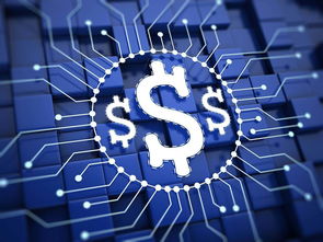 楊望 以數(shù)字貨幣破題普惠金融，數(shù)字技術服務實體經(jīng)濟新路徑