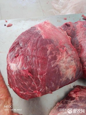 鮮牛腿肉
